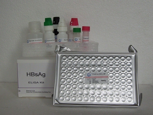 HBsAg ELISA Test Kit Reagent Enzyme-Linked Immunosorbent Assay