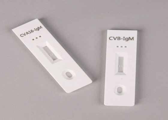 Hospital, Medical Center,Self High Accuracy Salmonella Antigen Rapid Test Cassette Package Inser Rapid Test Kit