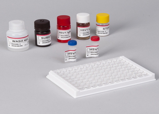 High Precision Laboratory Or Hospital High Precision RUO Human Vitamin D ELISA Kit