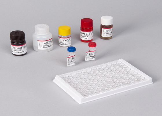 For Laboratory Or Hospital Beta-Human Chorionic Gonadotropin Elisa Test Kit