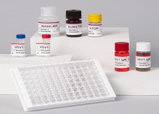 Murine Ifn Gamma RUO Test Kit Mouse Interferon Gamma Sandwich Method