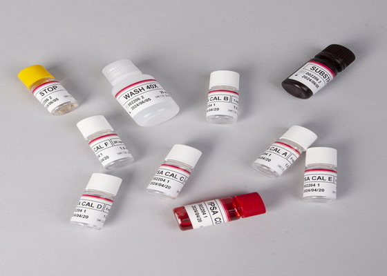 Detection Total Antibody Colloidal Gold Rapid Test To Treponema Pallidum In Human Serum Or Plasma
