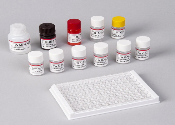 E2 ELISA Test Kit In Vitro Detection Medical Detection High Precision