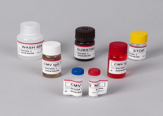 For Laboratory Or Hospital High Accuracy Ferritin Elisa Test Kit