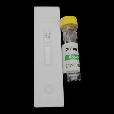 Cassette Canine Parvovirus Veterinary Rapid Test Kits 10 Minutes Test Time