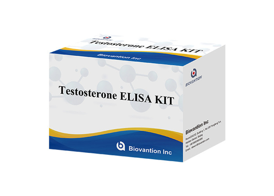 Testosterone Elisa Test Kit High Specificity For Accurate Diagnosis