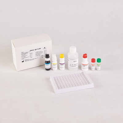 Human Brucella IgM for 96 Tests Package Size in RUO Test Kit
