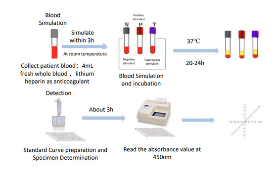 TB-IGRA Elisa kit Fast and Accurate Results for Diagnosis