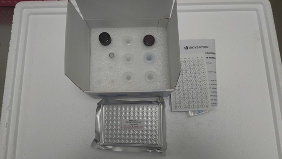 Human insulin-like growth factor-1 ELISA Kit for Research Use Only/IGF-1 Elisa Kit