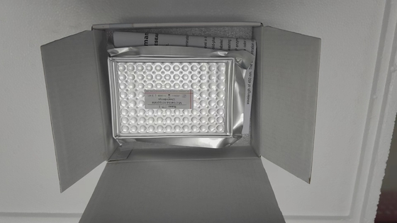 Rat Interleukin 6 IL-6 96 Tests Package Size Highly Sensitive Elisa Kit