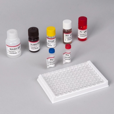 RV-M Sensitivity Elisa Rapid 2-3 Hour Assay Time For Accurate Results