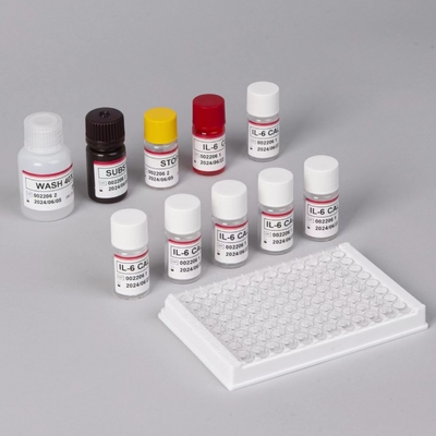 IL-6 Interleukin 6 Elisa Test Kit With 2-3 Hours Assay Time Biovantion Serum / Plasma Format 18 Months Shelf Life