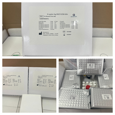 H Pylori  ELISA Test Kit 480test/kit Elisa Screening Kit Results