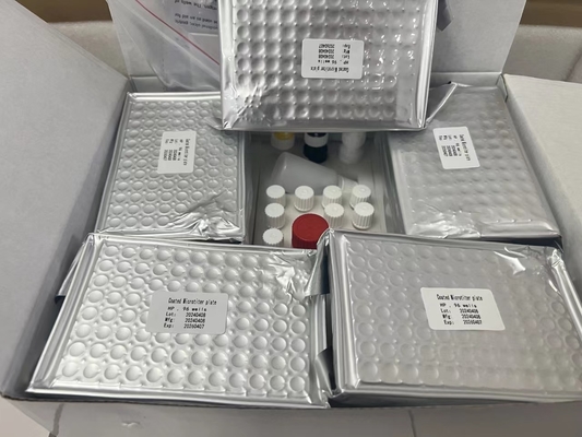 H Pylori  ELISA Test Kit 480test/kit Elisa Screening Kit Results