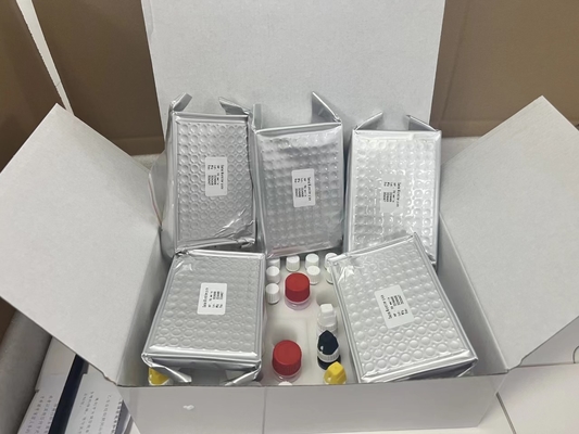 11-dehydro-Thromboxane B2 11dhTxB₂ ELISA Test Kit IVD High Accuracy And Simple Operation