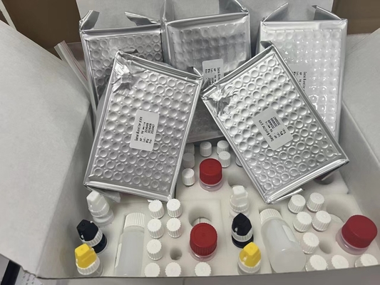 11-dehydro-Thromboxane B2 11dhTxB₂ ELISA Test Kit IVD High Accuracy And Simple Operation