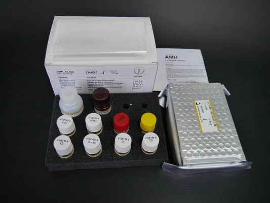 Vitamin D Elisa Test Kit Specificity Elisa Test Kit With 18 Months Shelf Life 2-3 Hours Assay Time By Biovantion