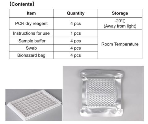 Respiratory V Lung Infection Cat PCR