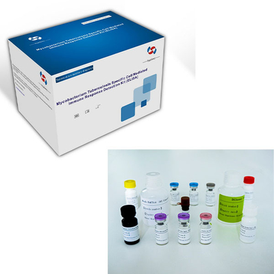 Easy-to- TB-IGRA ELISA Test Kit with Long Shelf Life and 2C-8C Preservation Method
