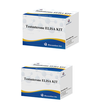 Male Sex Hormone Testosterone Hormone ( Quantitative )  Elisa Test Kit For Diagnose
