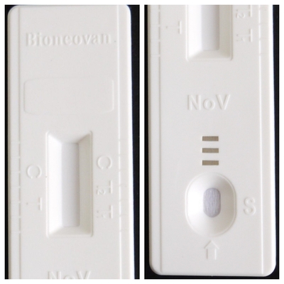 Rapid Test For Detection Of Norovirus Antigen With 20kits Colloidal Gold Method with CE