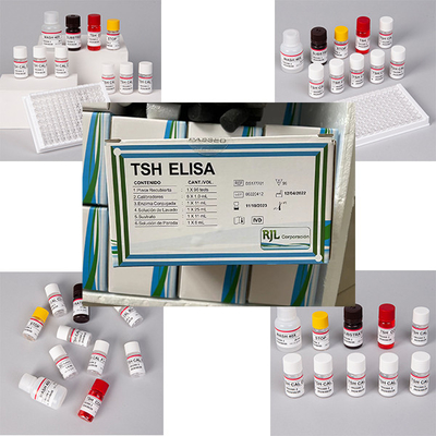 High Accuracy Patient Testing Thyroid Stimulating Hormone TSH Thyrotropin Elisa Test Kit