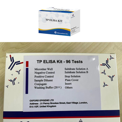 Male And Female Infection High Syphilis TP Ab Antibody ELISA TEST KIT
