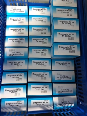 Anti-TP Treponema Pallidum ELISA Test Kit Serum / Plasma Medical Diagnosis