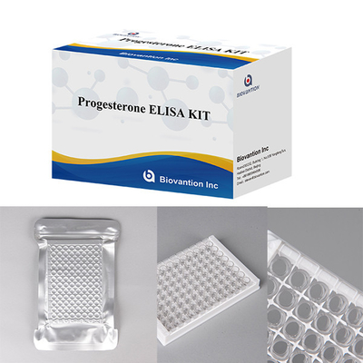 Hospitals Laboratories Clinics Use Progesterone Quantitative Immunoassay ELISA TEST KIT