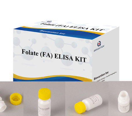 Enzyme-Linked Immune High Sensitivity Reagents Folate Elisa Test Kit