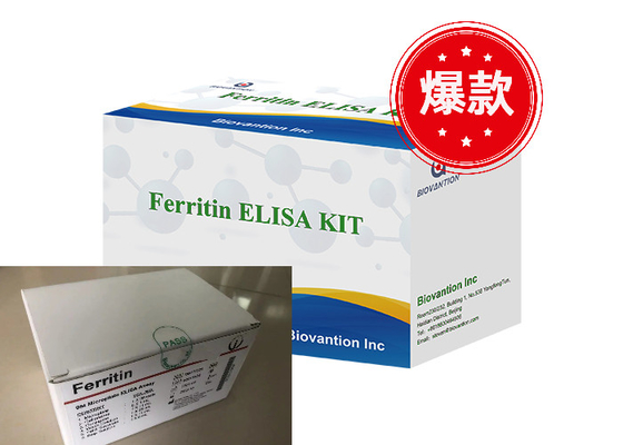 High Accuracy Of Enzyme-Linked Immunoassay Made In China Ferritin Elisa Test Kit
