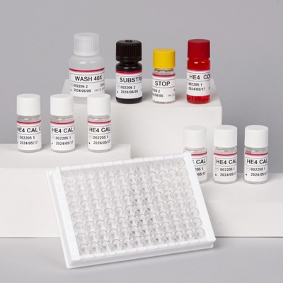 Enzyme-Linked Kit Immunoassay HE4  Human Epididymis Protein 4 ELISA