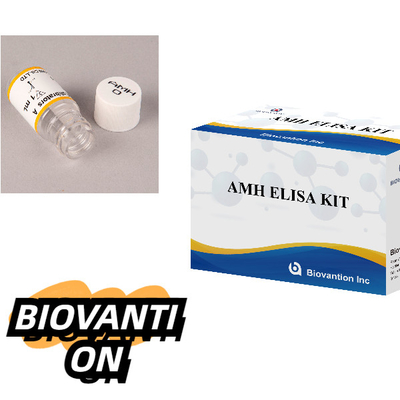 Anti-Mullerian Hormone Elisa Test Kit AMH ELISA Immunoassay Detection Kit Intended Use