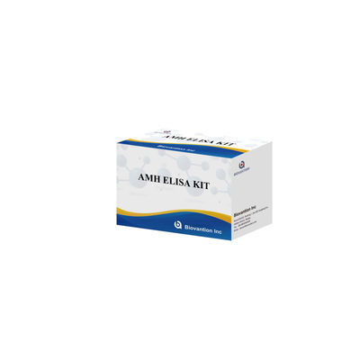 Anti Mullerian Hormone ELISA