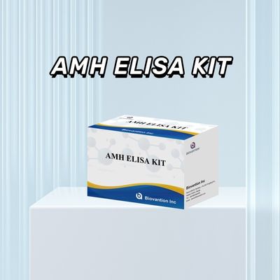 Anti Mullerian Hormone ELISA