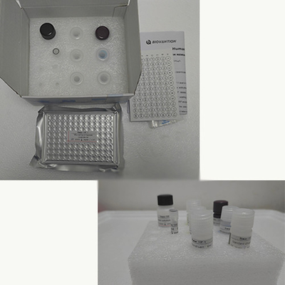 Human TNF-α  RUO Elisa Test Kit For Serum With 96 Tests
