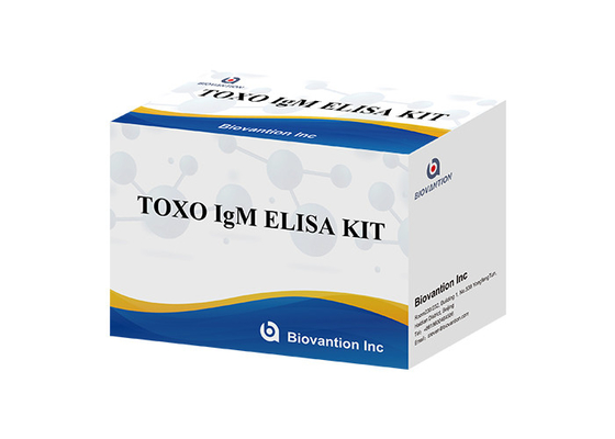 TOXO Ig G Sensitive and Specific Elisa Test Kit for Disease Monitoring