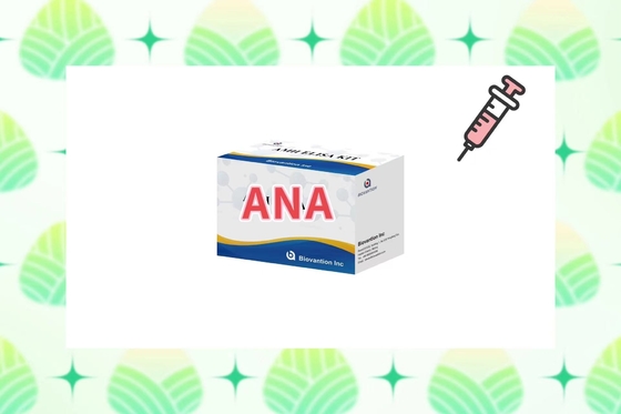 Sensitivity ANA Screen IgG Elisa Test Kit For Serum/Plasma Detection At 2-8°C