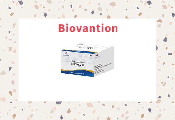 Specificity Biovantion Rat Estradiol E2 Elisa Test Kit - 96 Tests Storage At 2-8.C