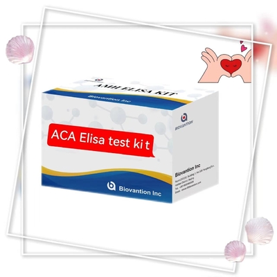 Specificity 2-3 Hour Anti-ACA IgM Elisa Animal Test With 18 Months Shelf Life