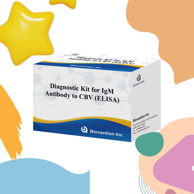 18 Months Shelf Life Enzyme-Linked Immunosorbent Assay Test For IgM Antibody To CBV