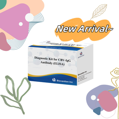 Sensitivity Diagnostic Kit for CBV-IgG Antibody human detect Elisa Kits for Precise Sample Type Detection