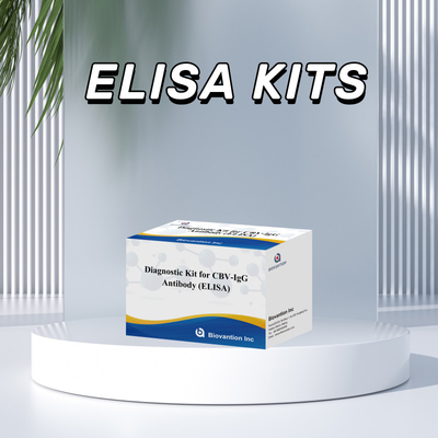 Sensitivity Diagnostic Kit for CBV-IgG Antibody human detect Elisa Kits for Precise Sample Type Detection