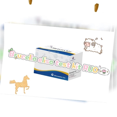 Brucella elisa test kit RUO Elisa Test Kit Of Enzyme-Linked Product RESEARCH USE ONLY Animal Test