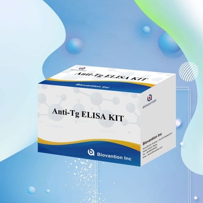 Elisa Diagnostic Kit For Human Antithyroglobulin Antibodies Anti-Tg For Hospital And Lab