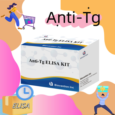 Elisa Diagnostic Kit For Human Antithyroglobulin Antibodies Anti-Tg For Hospital And Lab