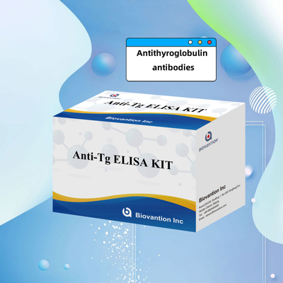 Elisa Diagnostic Kit For Human Antithyroglobulin Antibodies Anti-Tg For Hospital And Lab