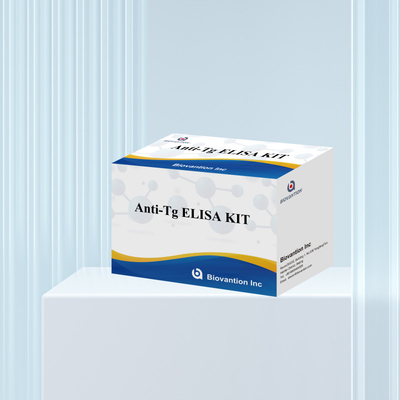 Elisa Diagnostic Kit For Human Antithyroglobulin Antibodies Anti-Tg For Hospital And Lab