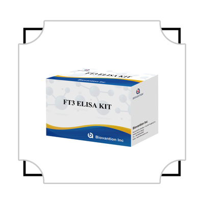 FT3 Free Triiodothyronine For Human Diagnostic Reagent Kits With 96T ELISA Test For Clinic Hospital Lab