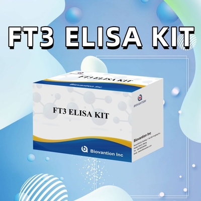 FT3 Free Triiodothyronine For Human Diagnostic Reagent Kits With 96T ELISA Test For Clinic Hospital Lab